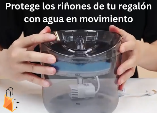 Protege los riñones de tu regalón